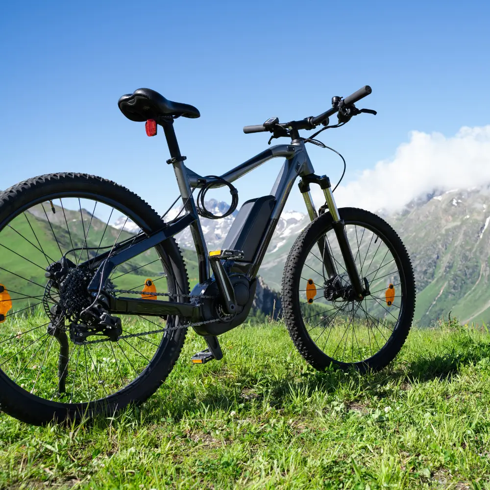 Bicicletta Elettrica